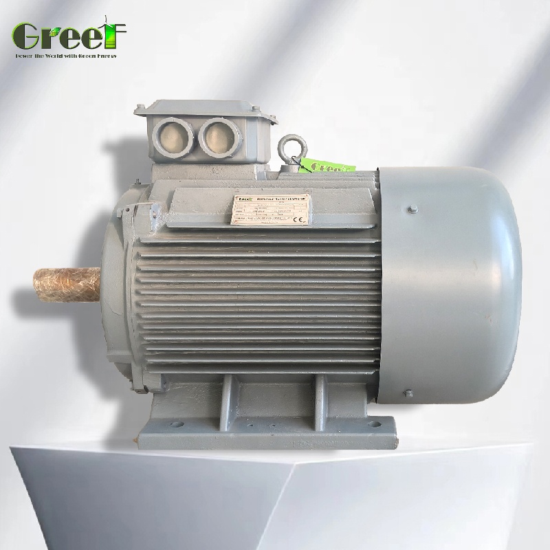 50kw 100kw 1MW Low RPM Permane - Renewable Energy Hydro recension och pris